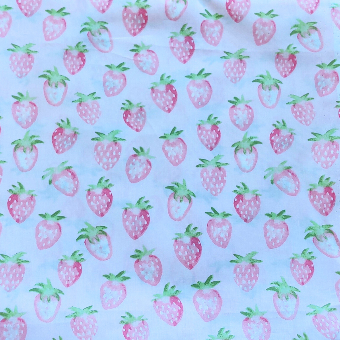 Makeup Bags - Strawberry Shortcake